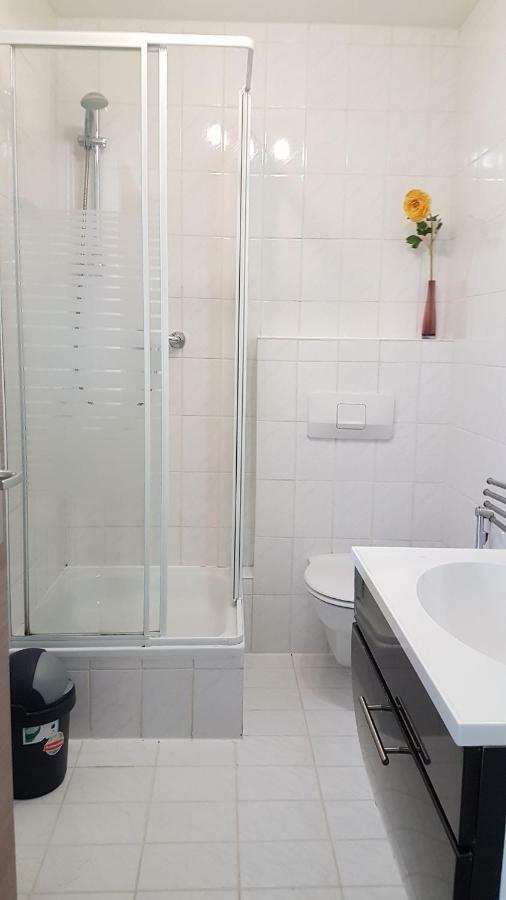 Flats-4U - Cosy, Quite & Clean Apartments In The City Bonn Eksteriør billede